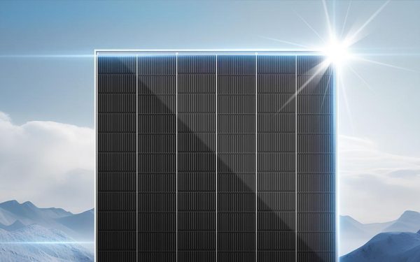 Vertex N module efficiency