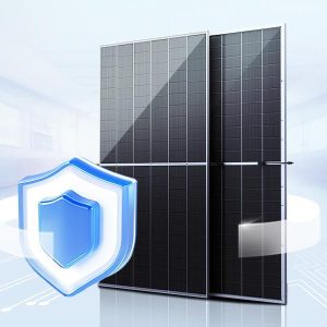 Vertex n reliability