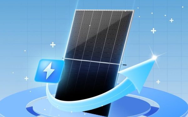 vertex N high power